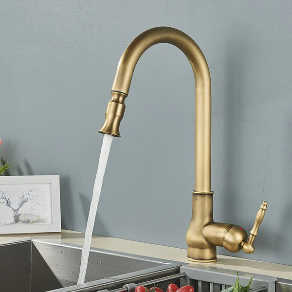 Un robinet rétro en laiton doré avec un flexible rétractable pour évier de cuisine. Design vintage et fonctionnalité moderne.