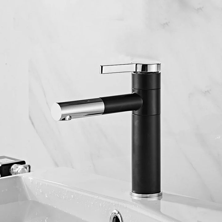 Dans une salle de bain, un robinet bicolore noir et argenté de style simple est installé.