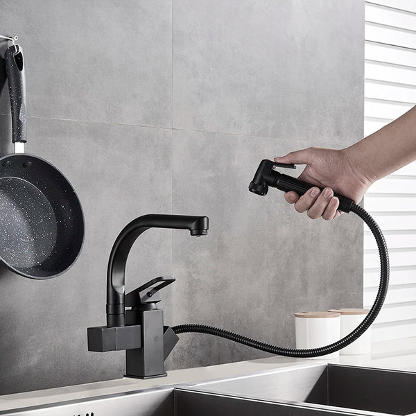 C'est un robinet pour évier de cuisine. Il y a deux points d'écoulement d'eau : il y a un bec classique et de l'autre côté il y a un flexible rétractable muni d'un pistolet douchette au bout. Il est noir mat.