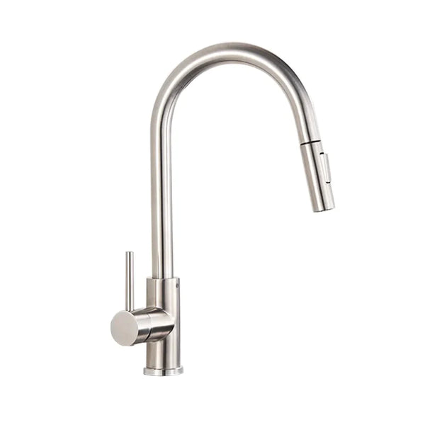 C'est un robinet pour évier de cuisine. Il est grand, de style minimaliste. Il est équipé d'un flexible avec une douchette au bout; il est argenté brossé.