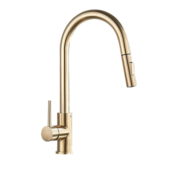 C'est un robinet pour évier de cuisine. Il est grand, de style minimaliste. Il est équipé d'un flexible avec une douchette au bout. Il est doré brossé.