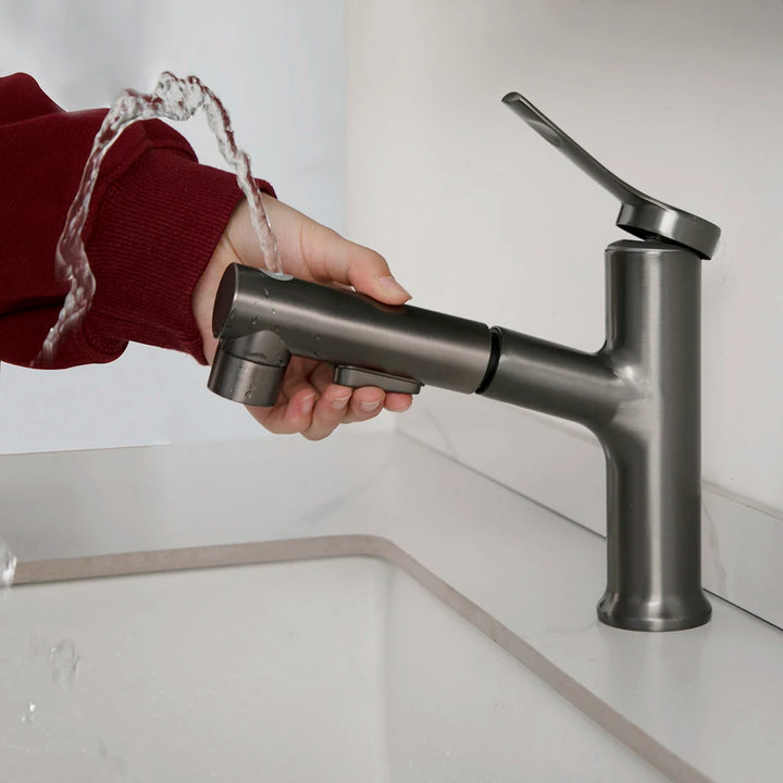 Dans une salle de bain, un robinet argenté anthracite brossé avec une fonction fontaine est installé.